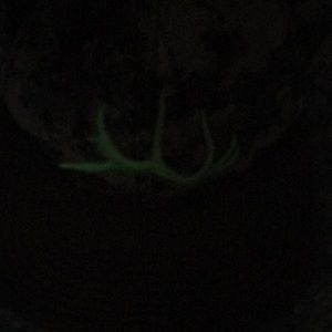 Meet your Posher, Peyton